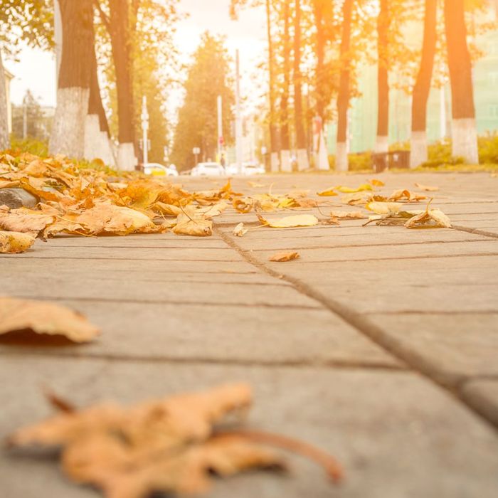 Exploring Foam Jacking Learn More! Stabil Solutions Top Rated